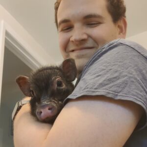 Remaining Piglet Balance