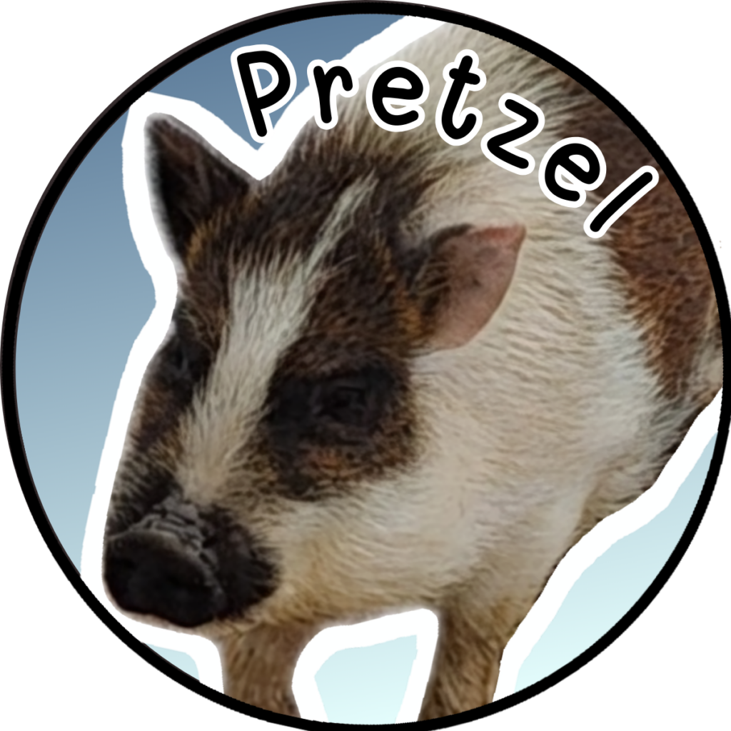 Pretzel Juliana Mini Pig 
